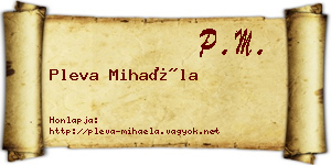 Pleva Mihaéla névjegykártya